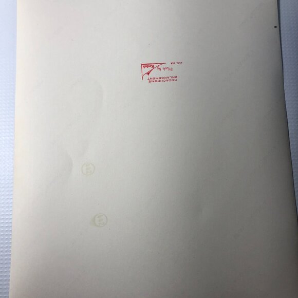 Vintage Kodachrome Photo 1956 Chevy Greaser Boy and Girlfriend - Picture 3 of 6